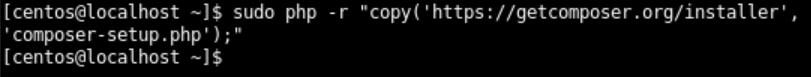 Copy composer to Install Laravel