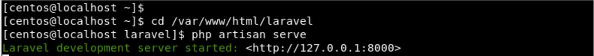 Start The Laravel Web Server